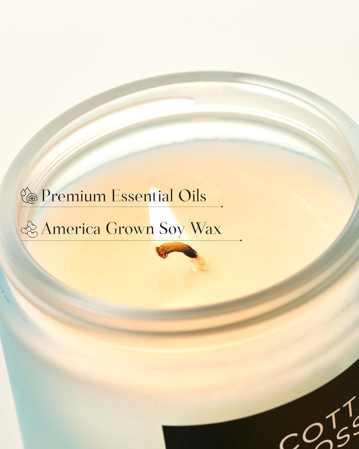 M&SENSE Clean Cotton Scented Candle - 7.05oz Natural Soy Wax Clean Cotton Blossom Scent Non Toxic Candle, 50-Hour Slow Burning 2-Wick Aromatherapy Home Fragrance Gifts for Home Decor