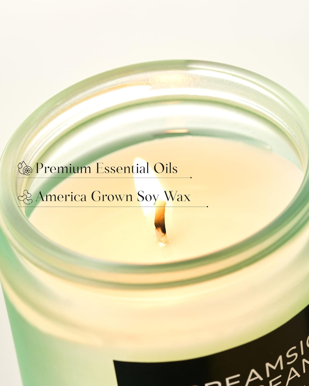 M&SENSE Orange Creamsicle Scented Candle, 7.05oz 50 Hours Slow Burning Non Toxic Natural Soy Wax 2 Wick Candle for Home Scented, Long Lasting Home Fragrance Gifts for Housewarming & Anniversry