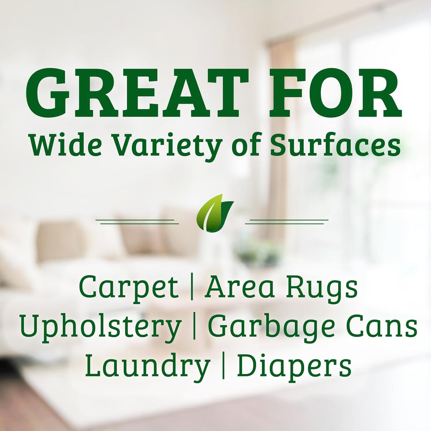 Biokleen Bac-Out Stain Remover for Clothes & Carpet - 32 Ounce - Natural, Enzymatic, Destroys Stains & Odors Safely, for Pet Stains, Laundry, Diapers, Wine, Carpets, Eco-Friendly, Plant-Based