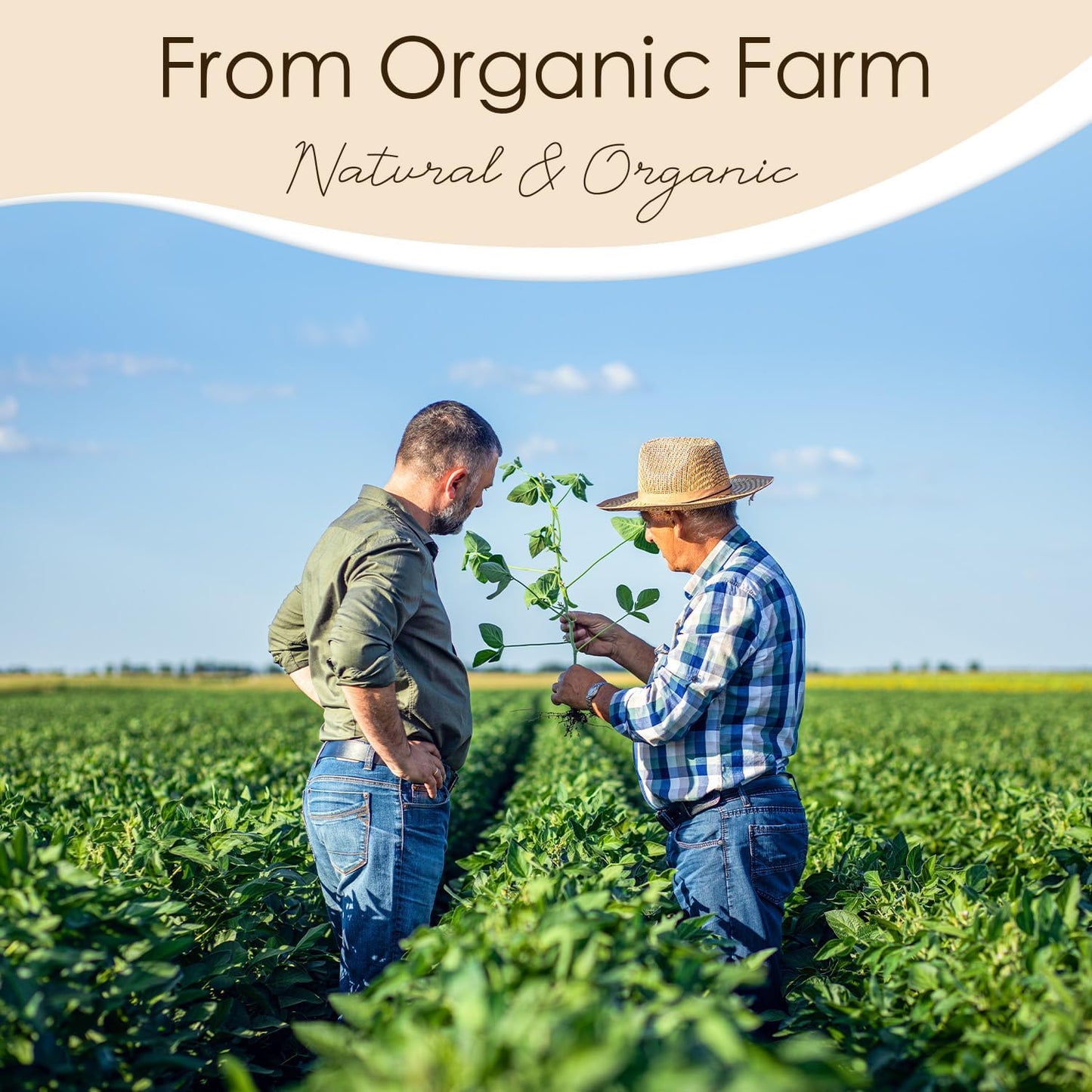 CHILLFLAME Soy Wax Flakes, Natural Candle Wax, Organic Soy Wax for Candle Making from Farm, No Harmless, Additives, and Pure (0.5lb)