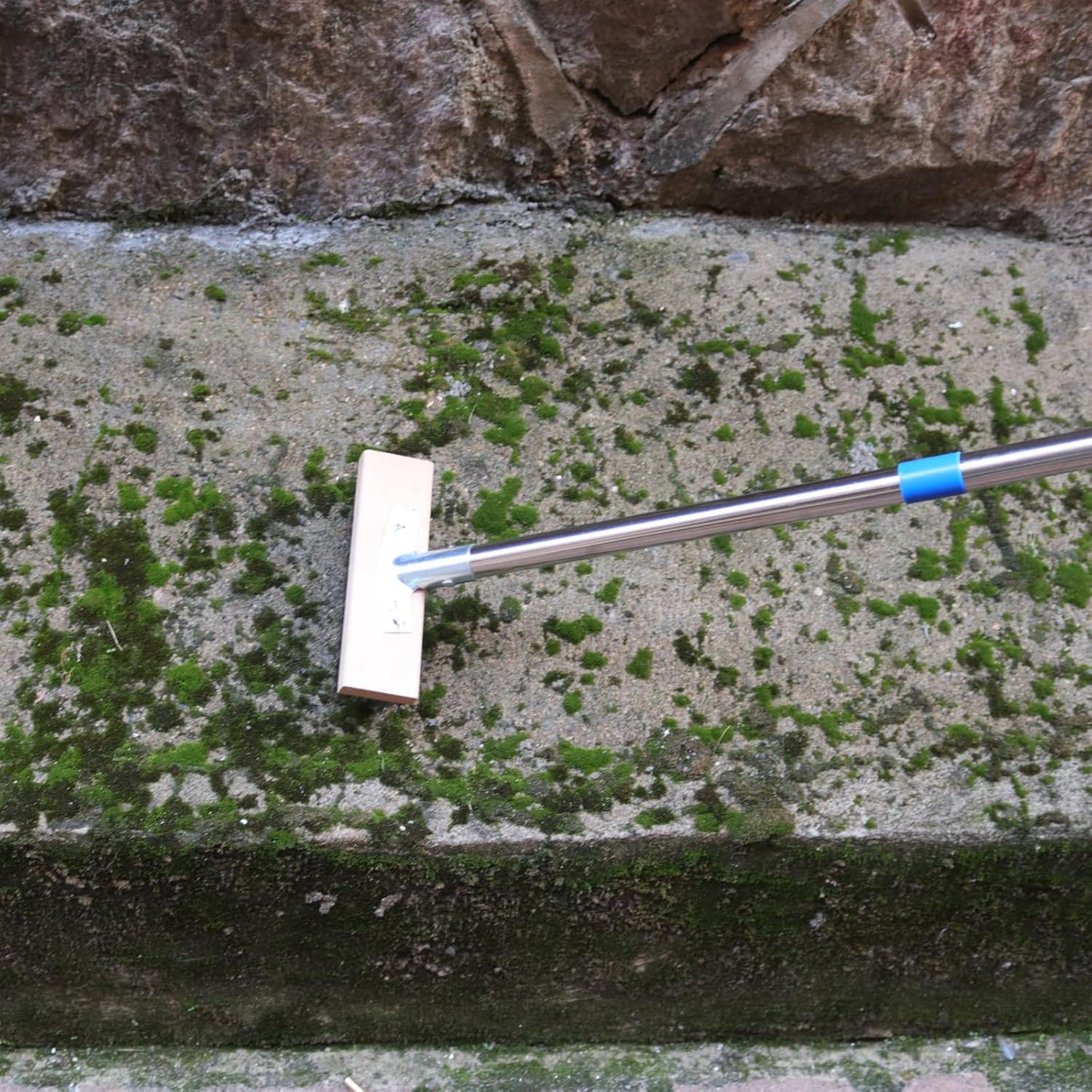 MAXMAN Floor Scrubber,Deck Brush,Stainless Steel Floor Scrub Brush with Long Handle, 63" Heavy Duty Outdoor Push Broom, Moss Remover, Scratch Brush for Scrubbing Concrete, Patio, Garden, Garage