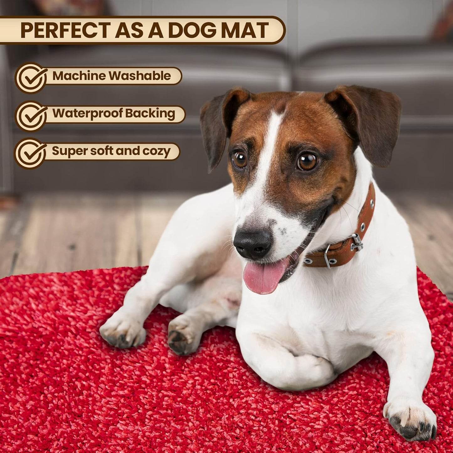 Premium Microfiber Indoor Door Mat – 20"x30" Washable Entry Mat, Non-Slip, Waterproof Backing, Super Absorbent, Low Profile Entryway Doormat for Indoor Entrance